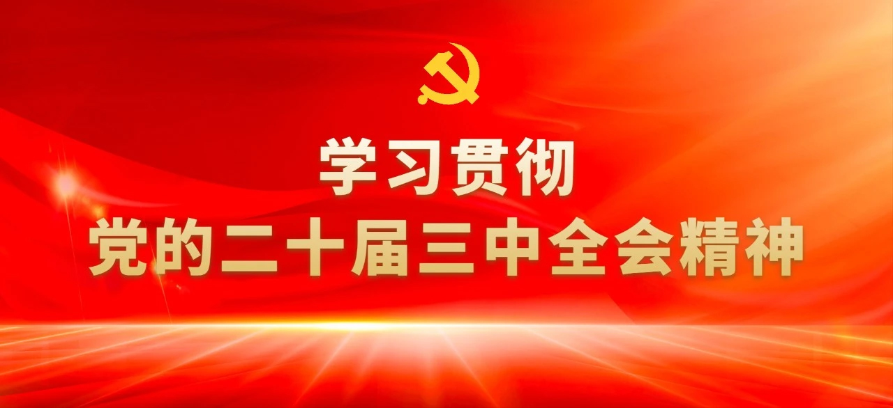 读懂党的二十届三中全会①：12组“改革热词”背后的知识点